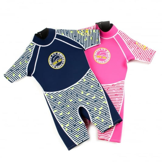 Dolphin Shorty Wetsuit