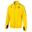 Borussia Dortmund Mens Stadium Jacket