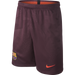 Night Maroon