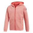 Girls ID Stadium Hoodie