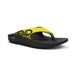Black/Yellow
