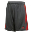 Bayern Munich Junior Training Short 2018/2019