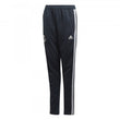 Real Madrid Junior Training Pant