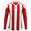 Junior Striped Long Sleeve Jersey