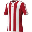 Junior Striped Estro Short Sleeve Jersey