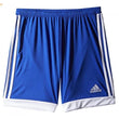 Mens Tastigo Shorts