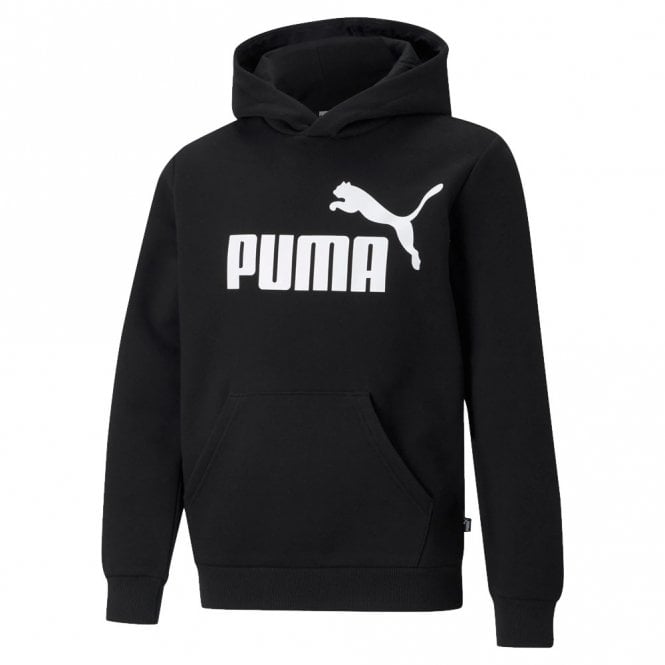 Essentials Big Logo Hoodie