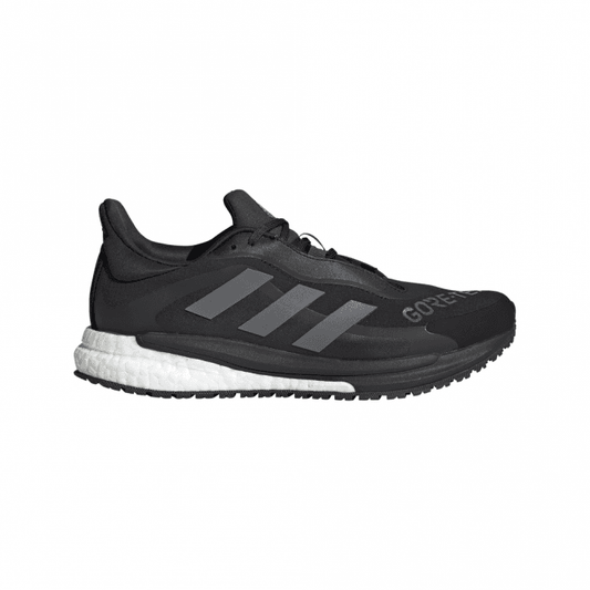 Womens SolarGlide 4 GORE-TEX Shoes