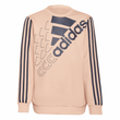 Junior Essentials Logo Sweatshirt