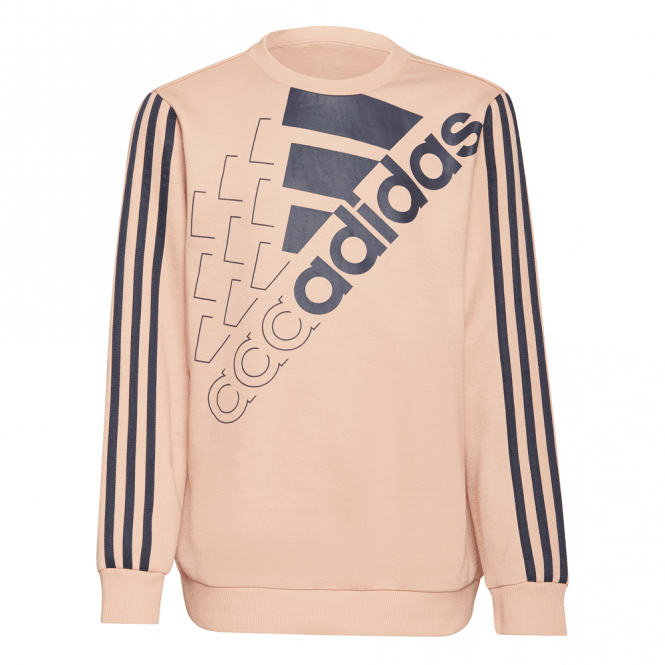 Essentials Logo Sweatshirt