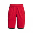 Boys Stunt 3.0 Short