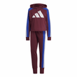 Womens Sportswear Badge of Sport Logo Track Suit