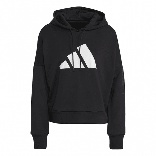 Womens Sportswear Future Icons Hoodie