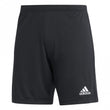 Mens Entrada 22 Short