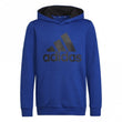 Boys Essentials Hoodie