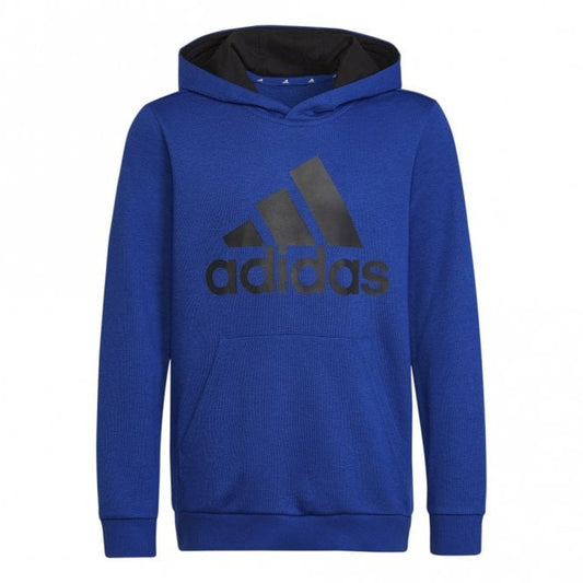 Boys Essentials Hoodie
