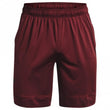 Mens Training Stretch Short