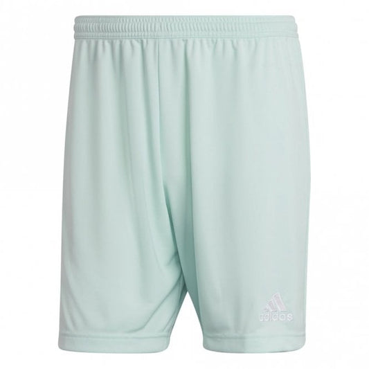 Mens Entrada 22 Short