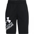 Boys Prototype 2.0 Logo Short