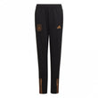 Germany Junior Training Pant 2022