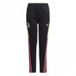 Juventus Junior Training Pant