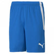 teamLIGA Mens Short