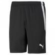 teamLIGA Mens Football Short