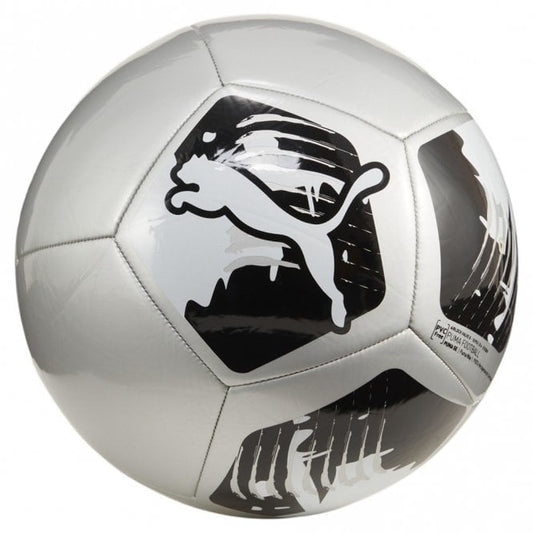 Big Cat Football