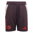Bayern Munich Junior Training Short 2024/2025