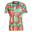 Arsenal Pre-Match Mens Short Sleeve Jersey 2024/2025