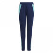 Arsenal Tiro Junior Training Pant 2024/2025