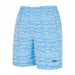 Blue/White