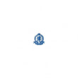 Cove Rangers Club Crest Metal Pin Badge