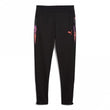 IndividualCUP Junior Training Pant