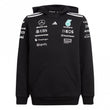 Mercedes AMG Petronas Formula One Team Junior Hoodie