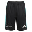 Mercedes AMG Petronas Formula One Team DNA Junior Short