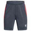 Boys Challenger Knit Short