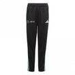Mercedes AMG Petronas Formula One Team DNA Junior Jogger