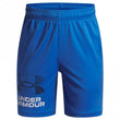 Boys Tech Logo Short
