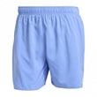 Mens 5-Inch Swim Shorts
