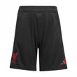 Liverpool Tiro Competition Junior Training Short 2025/2026