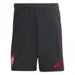Liverpool Away Mens Short 2025/2026