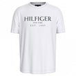 Mens Big Hilfiger T-Shirt