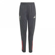 Liverpool Tiro Competition Junior Training Pant 2025/2026