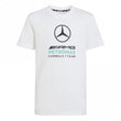 Mercedes AMG Petronas Formula 1 Team DNA Graphic Junior T-Shirt