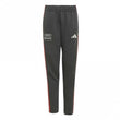 Audi Formula One Team Junior DNA Pant
