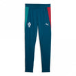 Portugal Junior Training Pant 2026