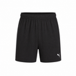 Puma Mens Team Goal Short