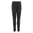 Adidas Liverpool Tiro Competition Junior Training Pant 2026/2027