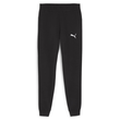 Puma teamGOAL Casuals Mens Pants